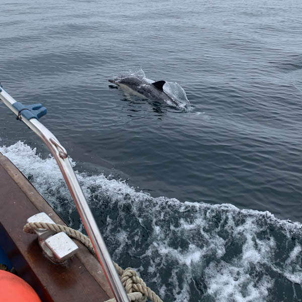 Mollie May Charters Porthleven, Newlyn, Penzance